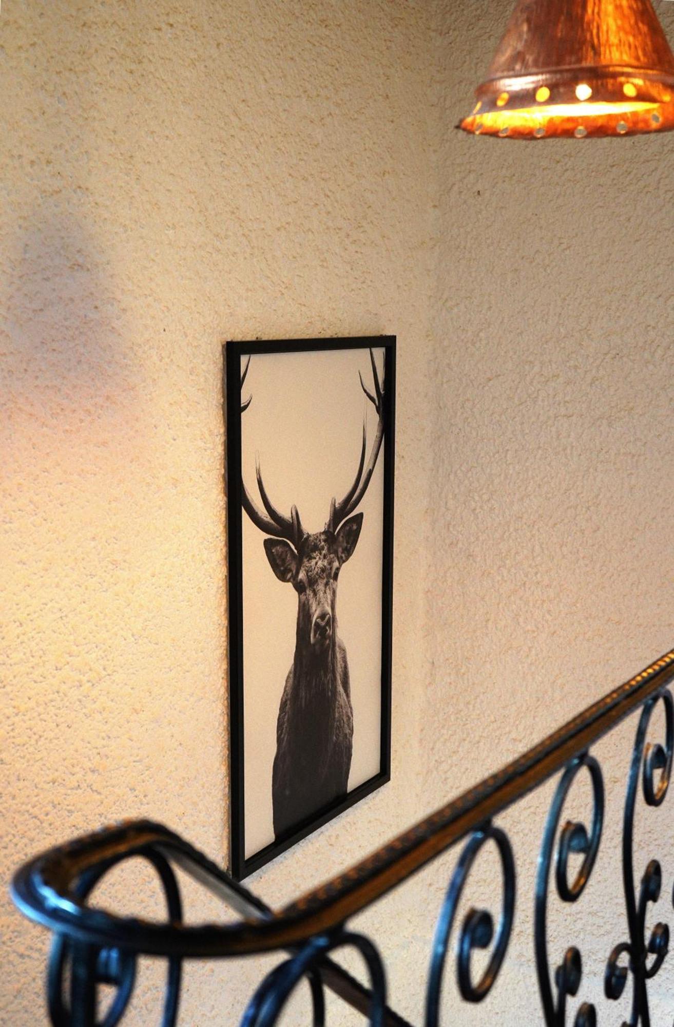 Apartmán Haus Diana Wagrain Exteriér fotografie